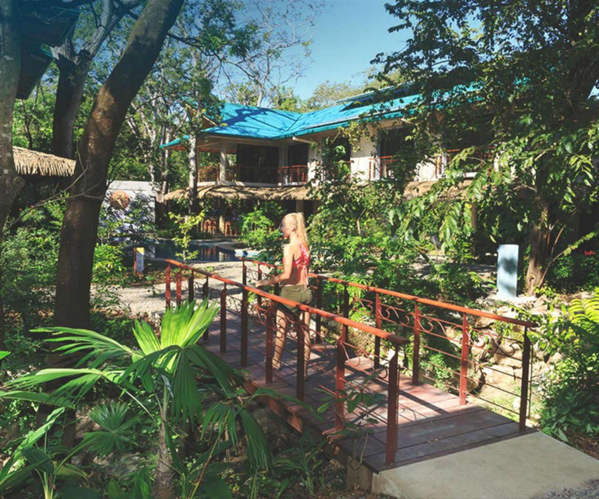 Olas Verdes Hotel نوسارا المظهر الخارجي الصورة